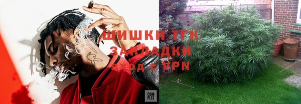 apvp Вяземский