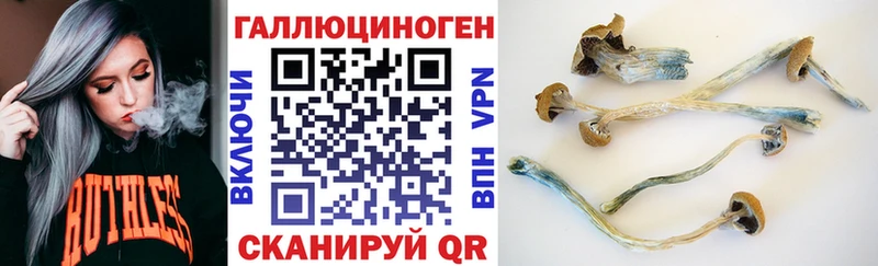 omg ссылка  площадка телеграм  Торжок  Галлюциногенные грибы Cubensis  закладка 